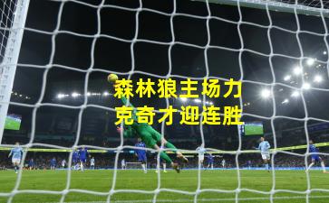 森林狼主场力克奇才迎连胜