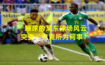 踢球的某东球场风云突变，究竟所为何事？