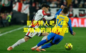 凯尔特人吧:绿军精神的网络家园