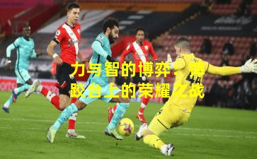 力与智的博弈：摔跤台上的荣耀之战