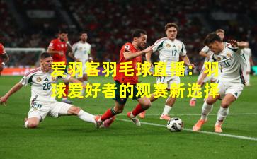 爱羽客羽毛球直播：羽球爱好者的观赛新选择