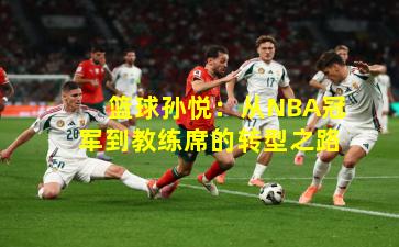 篮球孙悦：从NBA冠军到教练席的转型之路
