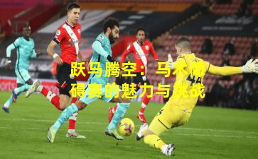 跃马腾空:马术障碍赛的魅力与挑战